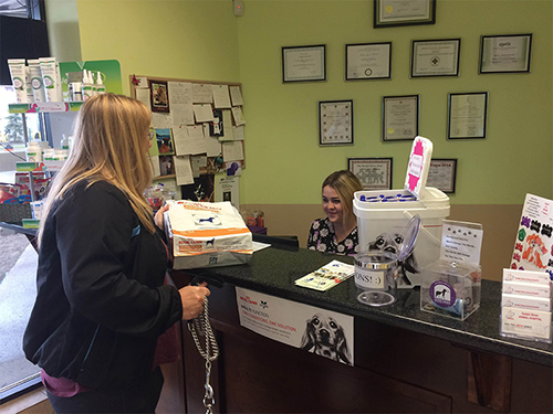 A client being assisted by receptionist