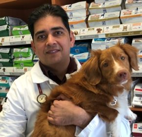 Dr. Jasvir Salhan Veterinarian