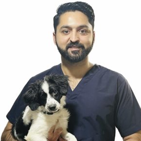 Navgeet Veterinary Technician