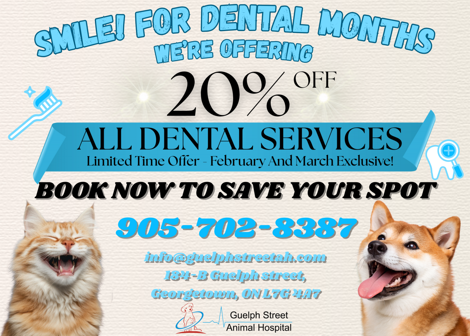 Smile! It&rsquo;s Dental Month - Infographic