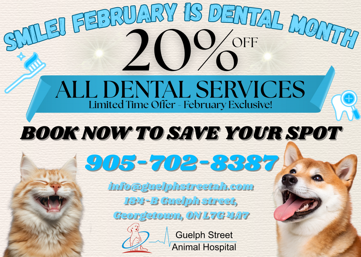 Smile! It&rsquo;s Dental Month - Infographic