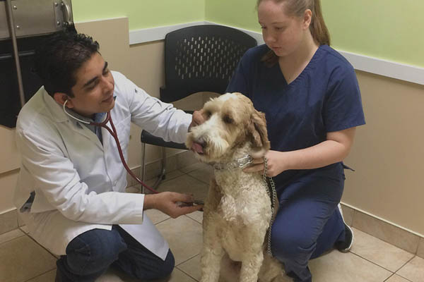 Dr. Salhan examining patient