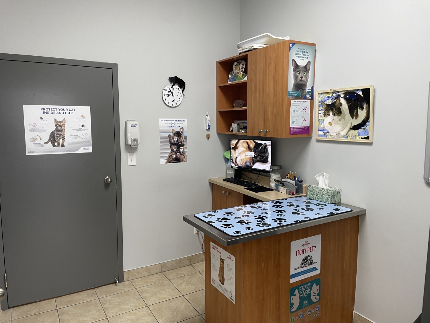 Guelph Street Animal Hospital