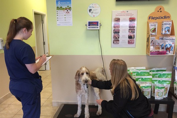 Staff weighing a patient