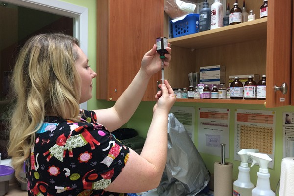 Staff drawing liquid medication