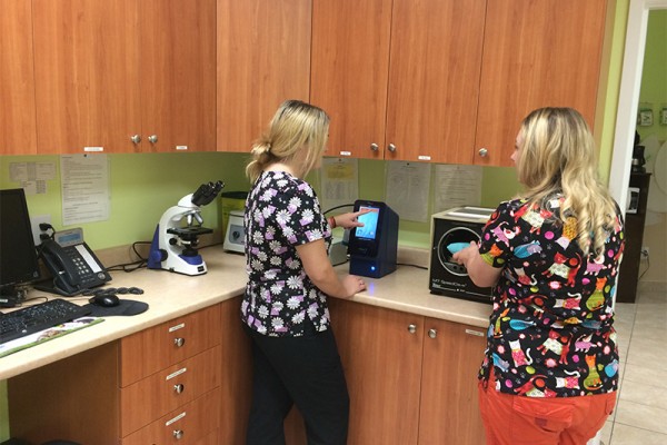 Staff running labs in laboratory