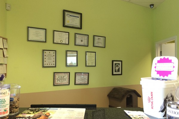 The reception area