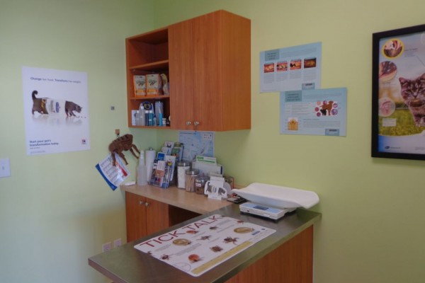 Exam room
