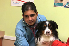 Dr. Salhan listening to a patients heartbeat